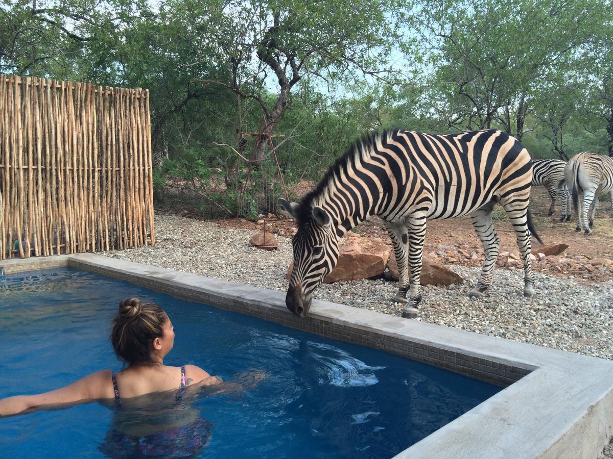 Nextdoor Kruger Villa Marloth Park Eksteriør billede